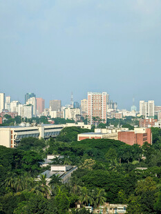 城市天际线与绿树景观