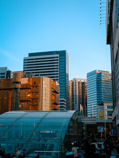 城市中的现代高楼景观