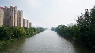 河畔高楼林立的城市风光
