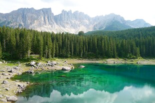 山间碧湖与葱郁森林美景