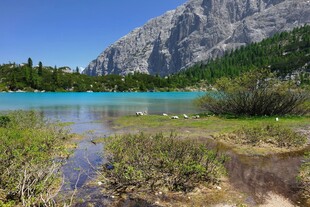 山间碧湖美景