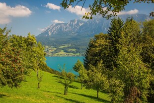 湖畔山林美景