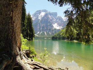 湖畔山林美景