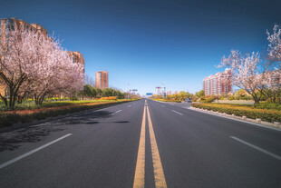 春日繁花盛开的宽阔道路
