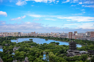 城市湖畔绿意盎然景观