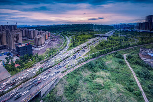 城市高架桥畔的美丽景致