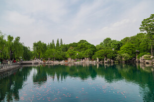 宁静湖畔绿意盎然的美景