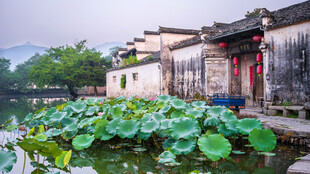 江南水乡荷塘畔古建筑