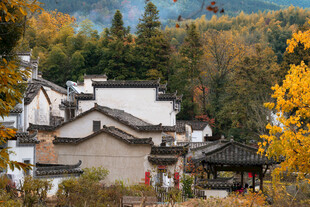秋日古村落美景