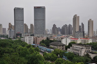 城市高楼与绿树景观