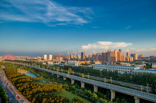 城市高架桥与天际线景观