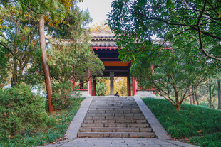 中式园林小径与古典建筑