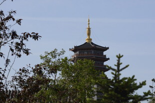 古塔式建筑隐于绿树间