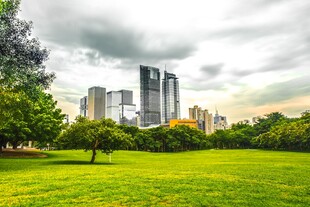 城市绿地与高楼景观