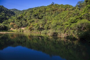 青山绿水间的静谧湖泊