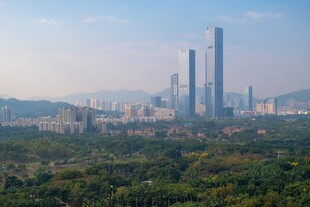 城市森林间的摩天大楼景观