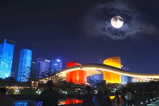 城市夜景中的璀璨建筑
