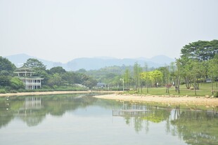 深圳中心公园