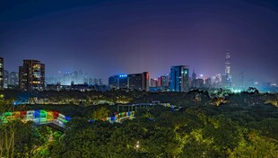 城市夜景下的绿植景观
