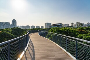 深圳香蜜公园道路