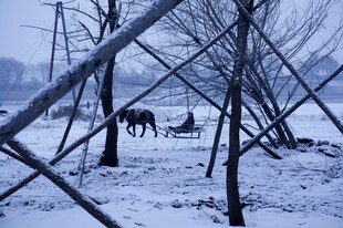雪地中围栏旁的马与车