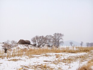 冬日旷野雪景