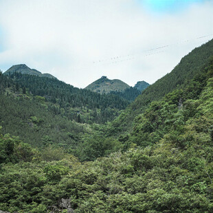 青山翠谷间的自然美景