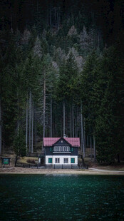 湖畔森林中的静谧小屋