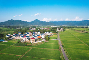 田园村庄美景俯瞰图