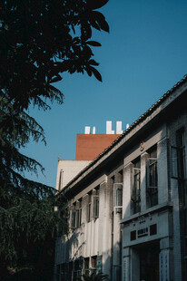 老旧建筑与绿植相映成趣