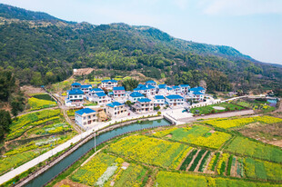 田园乡村美景俯瞰图
