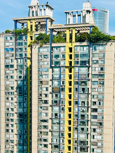 高楼外墙的垂直绿化景观