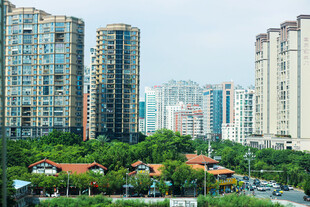 城市高楼与绿植景观