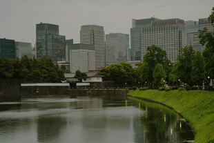 河畔城市风光
