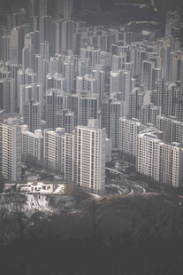 雾中林立的城市建筑群