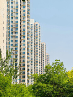 城市高楼与葱郁绿树景观