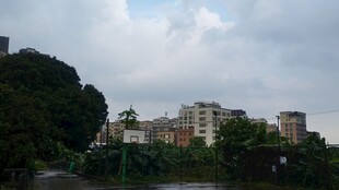 城市绿树环绕的建筑群