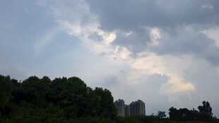 云遮绿树间的城市景致
