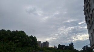 城市边缘的天空与绿树