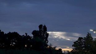 黄昏时分的树林与天空