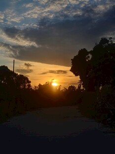 夕阳下的林间小路