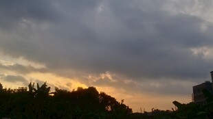 黄昏时分的天空与树木