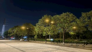 城市夜晚的静谧林荫道