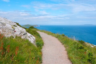 海边小径邂逅自然之美
