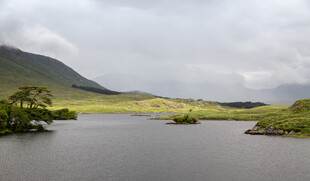 宁静湖畔的自然美景
