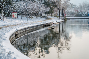 冬日河畔雪景