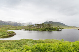 湖畔青山美景