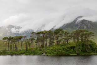 云雾缭绕的湖畔山林美景
