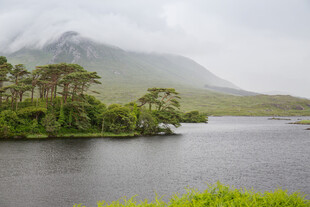 湖畔山林美景