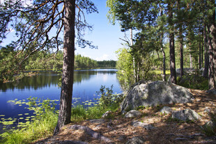 森林湖畔美景